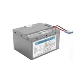 Lithium Ion Battery